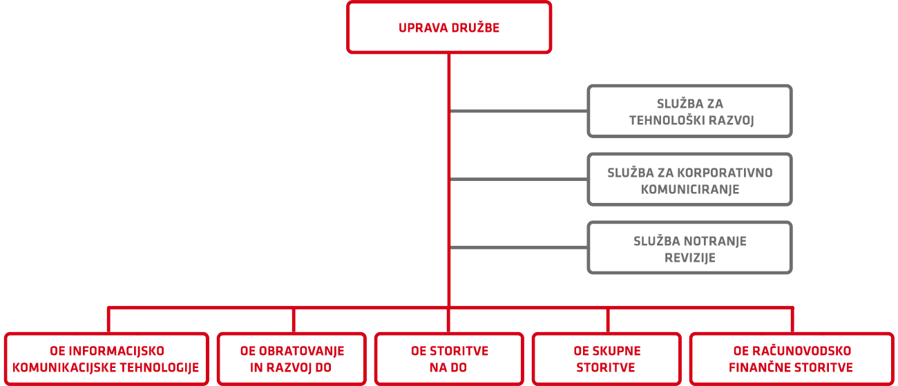 Shema organizacije