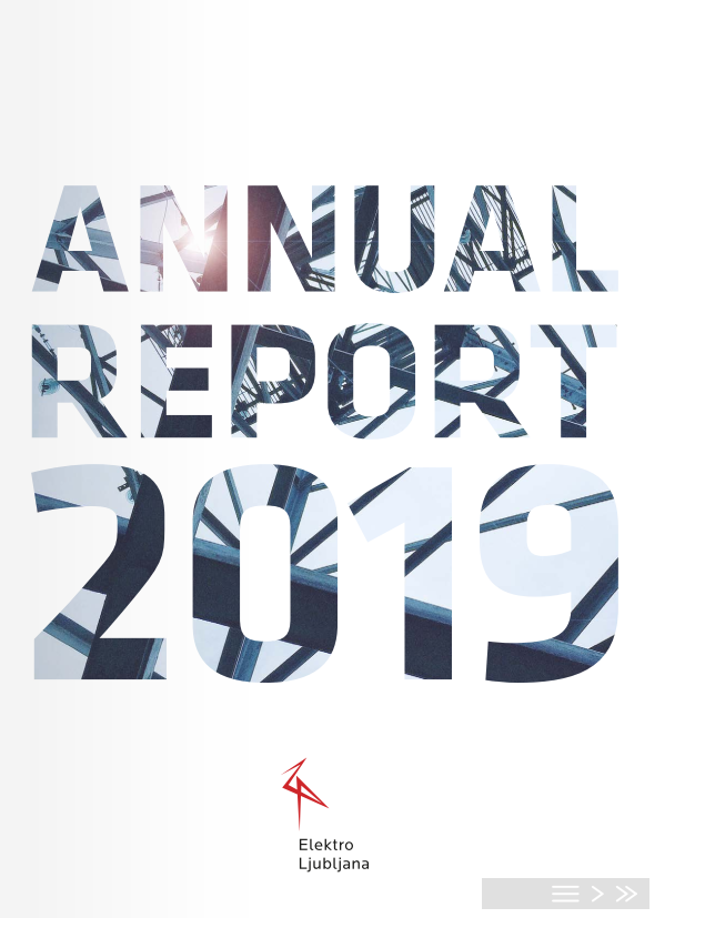 Annual report 2019