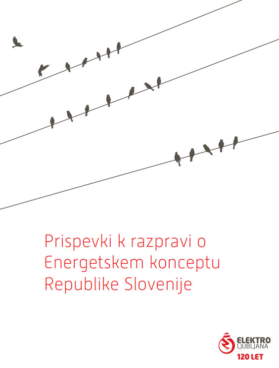 Prispevki k razpravi o Energetskem konceptu Republike Slovenije